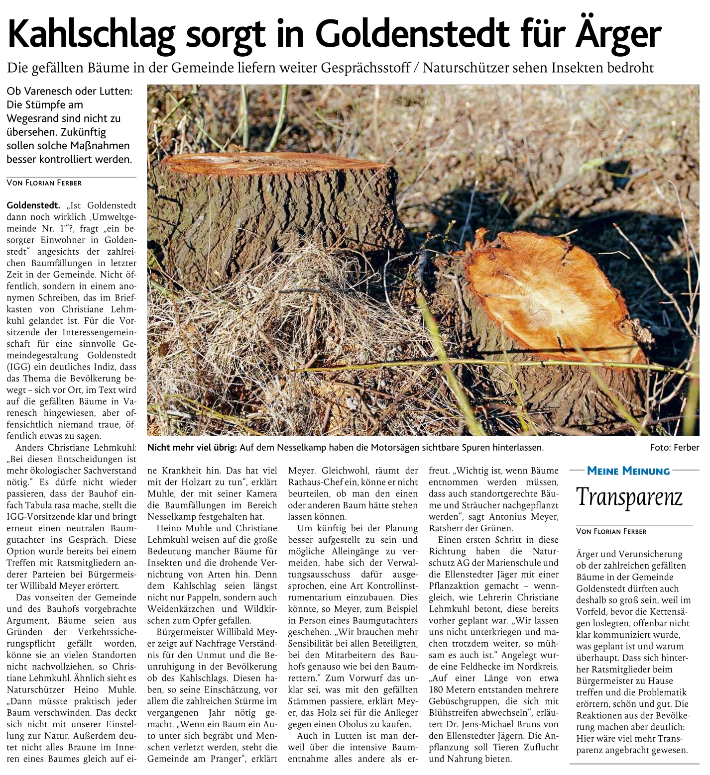 20180320_IGG_Baumfällung