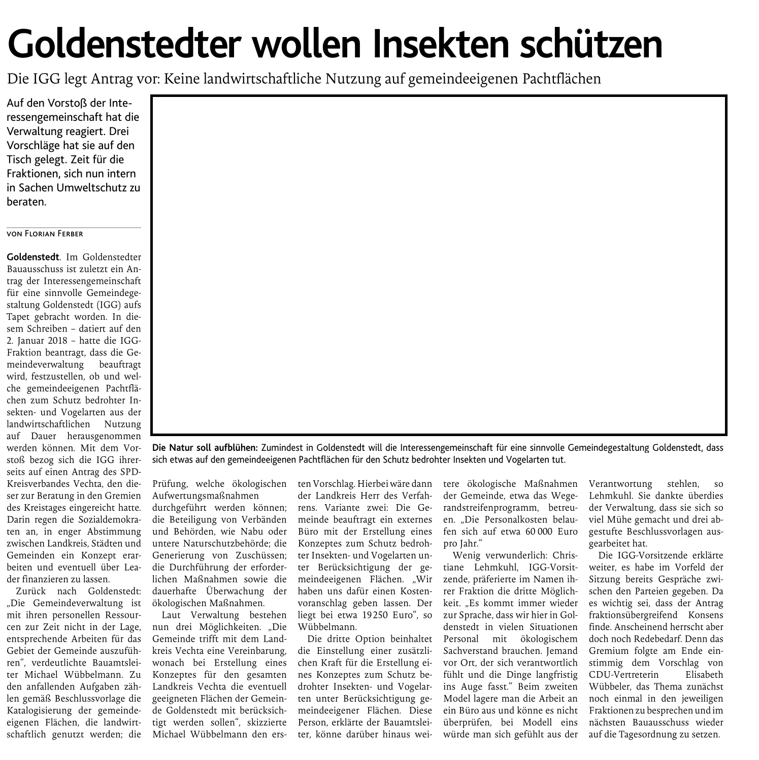 20180427_Goldenstedter wollen Insekten schützen_ohne Foto