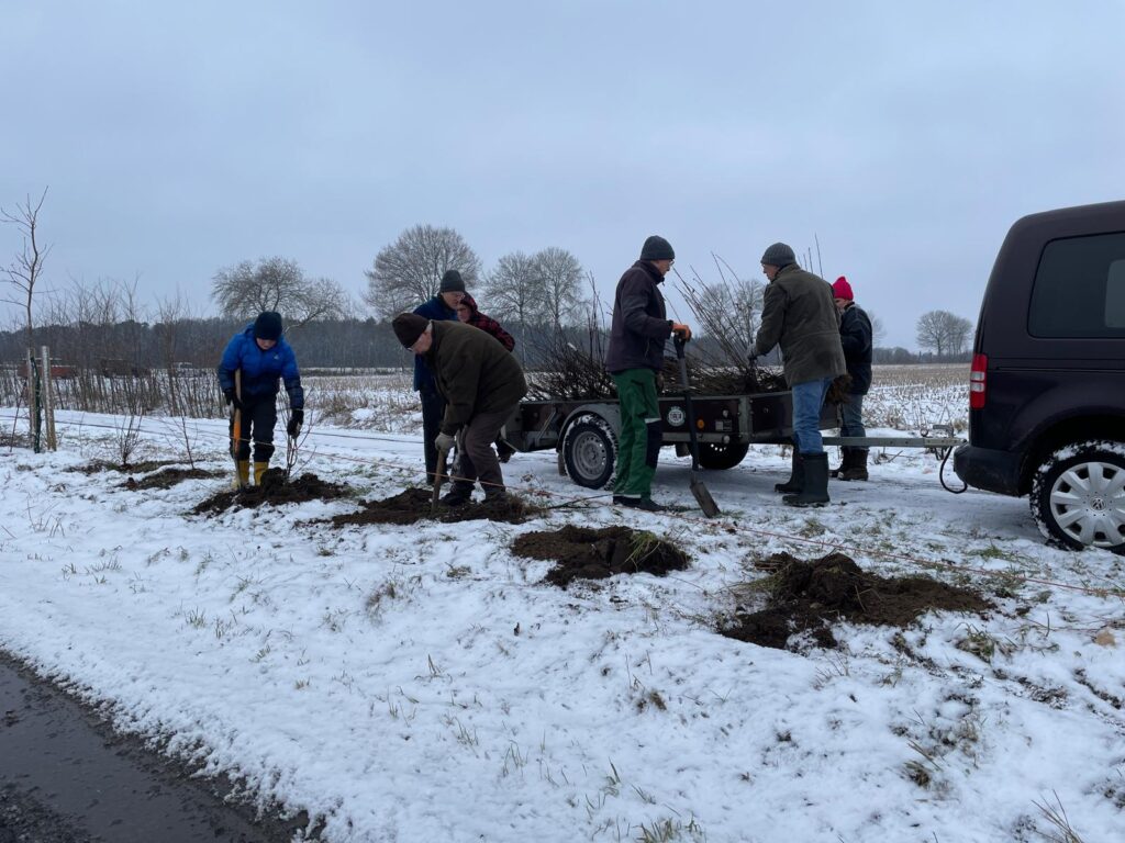 Pflanzaktion Hecken 14.02.2026