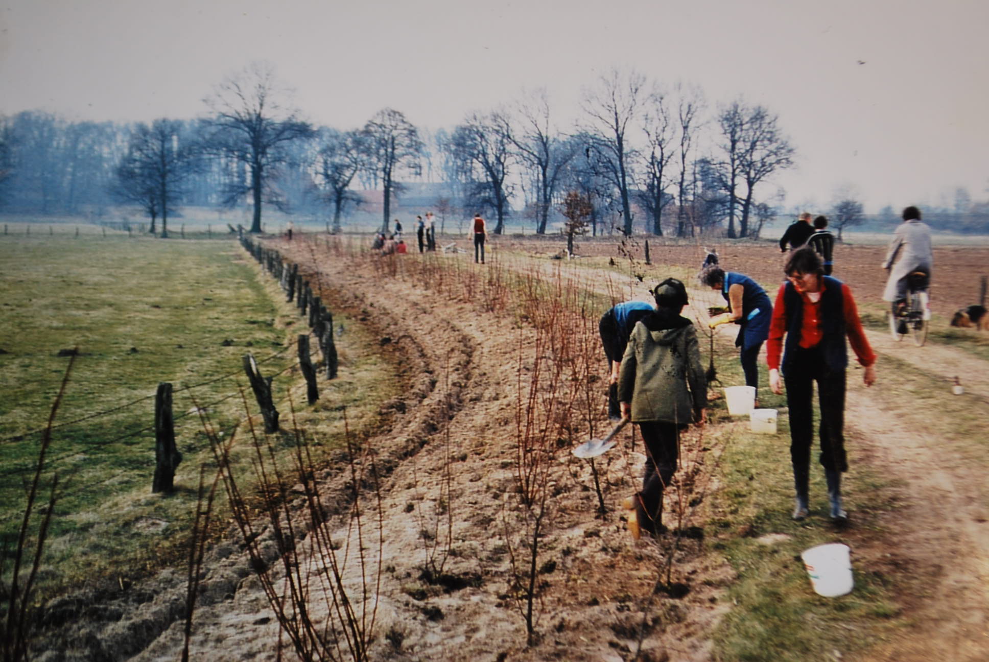 1982_Pflanzaktion