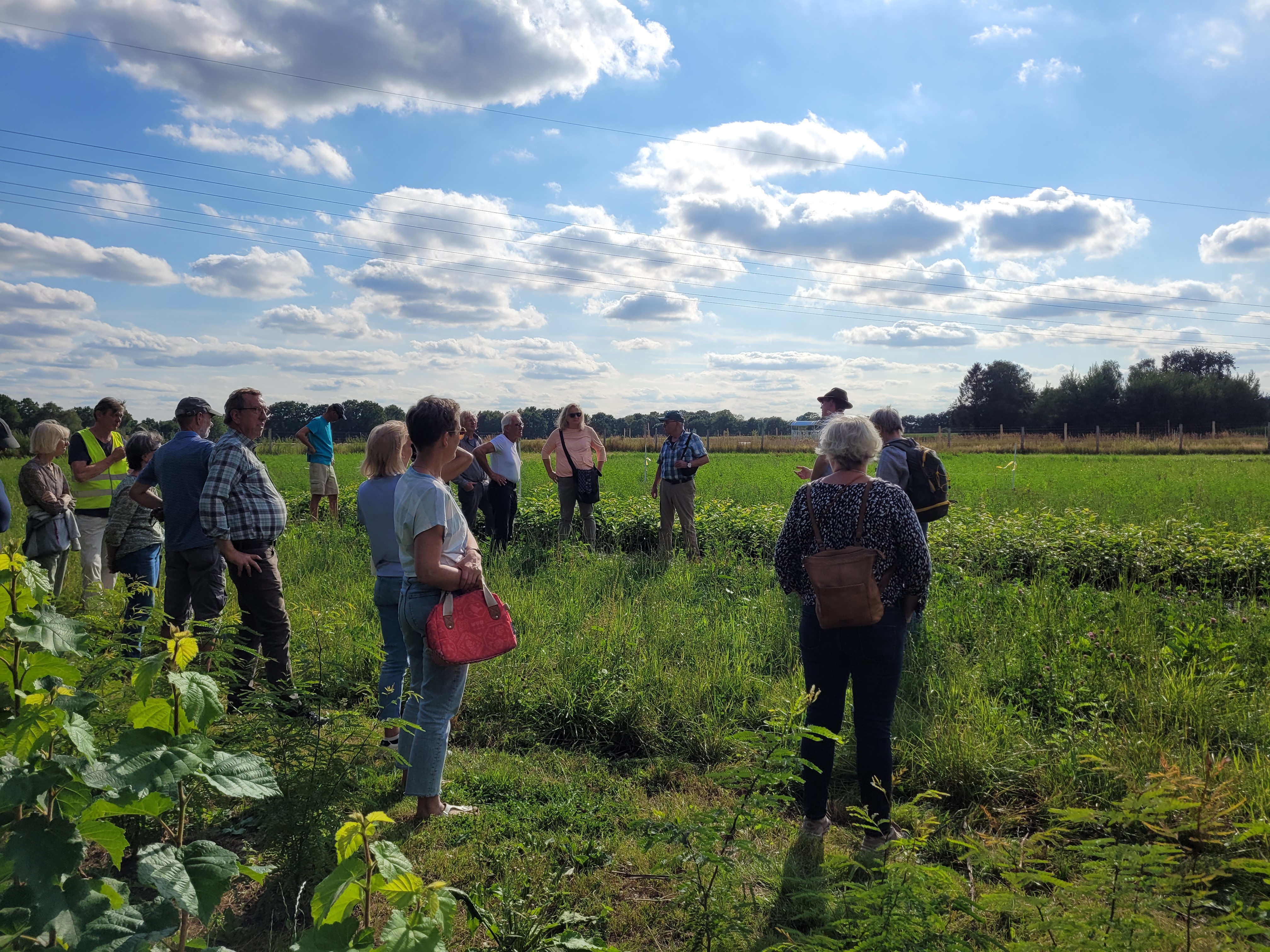 20220723_Erläuterung Agroforst