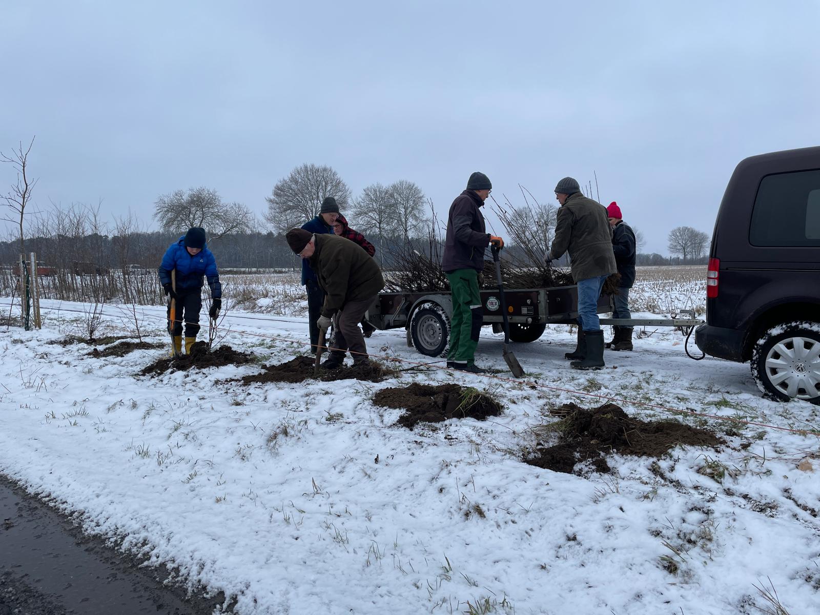 20260214_Pflanzaktion Arkeburg
